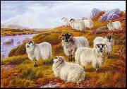 unknow artist Sheep 063 oil on canvas